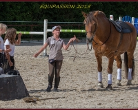 1-13JUIN 0742